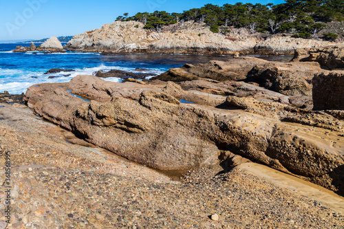 South Point Across Headland Cove From Sea Lion Point, Point Lobos State Natural Reserve, Big Sur, California, USA