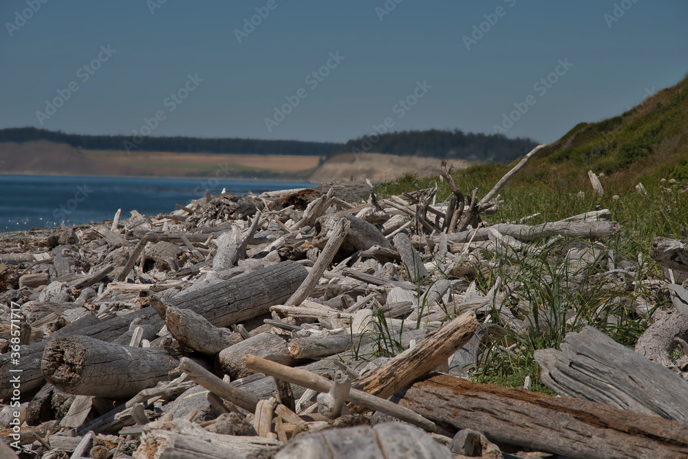 2020-07-31 A PILE OF DRIFTWOOD WASHED UP ON SHORE ON WHIDBEY ISLAND