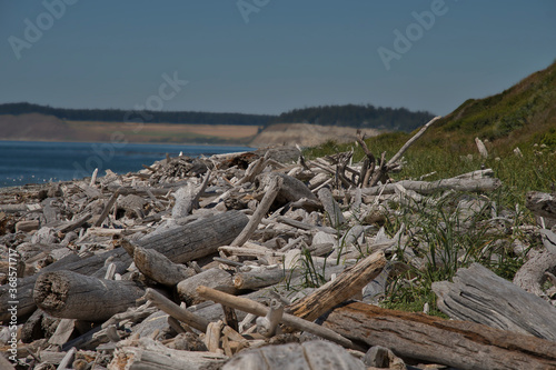 2020-07-31 A PILE OF DRIFTWOOD WASHED UP ON SHORE ON WHIDBEY ISLAND © Michael J Magee