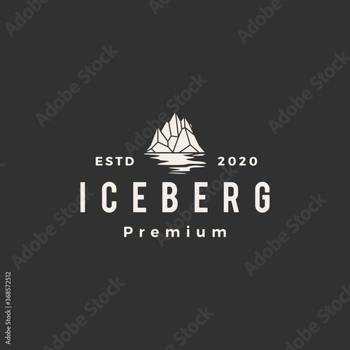 iceberg mount hipster vintage logo vector icon illustration