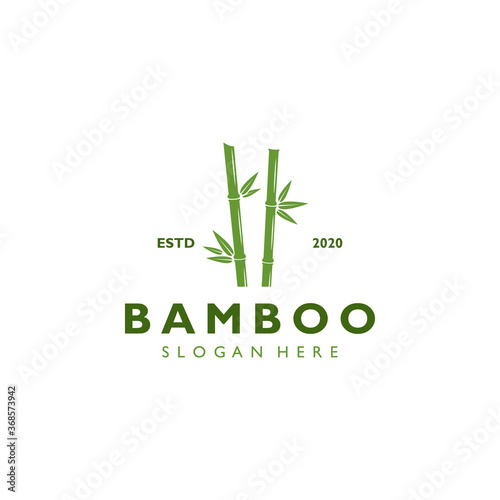 Vintage retro hipster bamboo logo template vector illustration