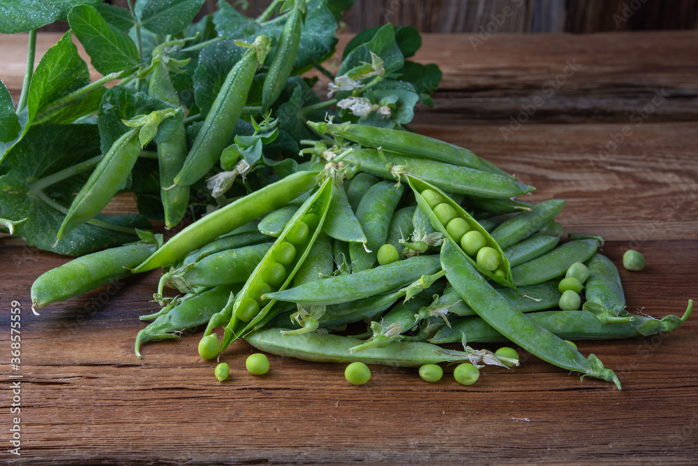 a branch of green peas with pods on a wooden table close-up, harvest from the garden a branch of green peas with pods on a wooden table close-up, harvest from the garden