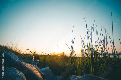 sunset over the river