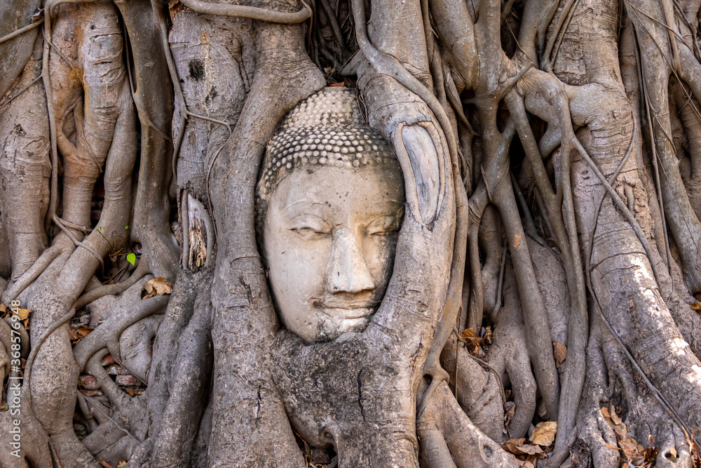 タイのアユタヤにあるワット・マハータートで見た、木の根に取り込まれた仏像の頭部