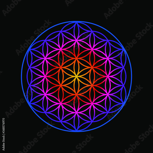 Rainbow Flower of Life design image, vector illustration. Sacred geometry, symbol healing and balance.