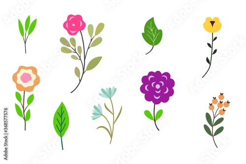 set of colorful flowers on white background.