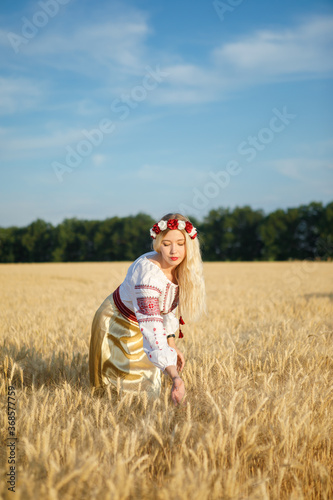 Young white woman with long blondy hair dressed a white dress in a wheat field © Dmitry