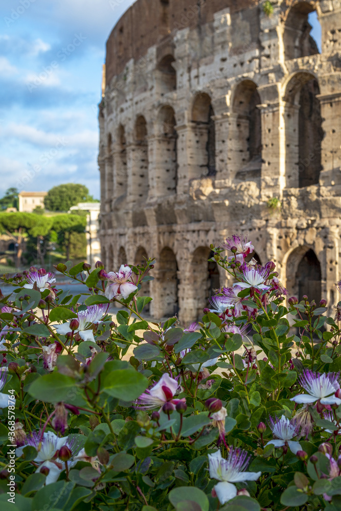 Obraz premium Calme matinée de printemps à Rome, Italie.