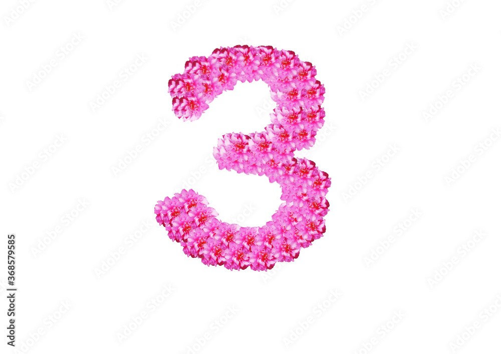 The number three  is made of pink flowers on a white background. Spring concept Floral letters of the alphabet for wedding design or flower festival