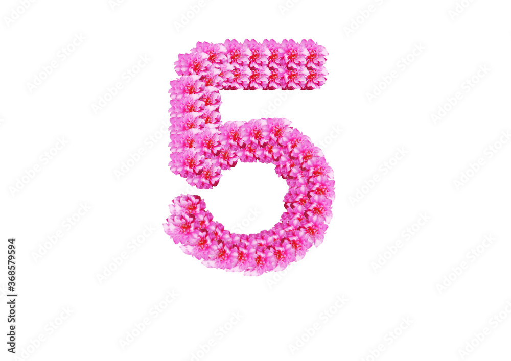 The number five is made of pink flowers on a white background. Spring concept Floral letters of the alphabet for wedding design or flower festival