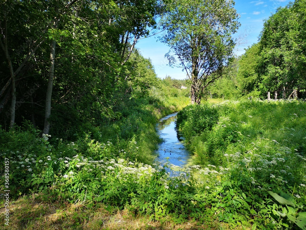 Fototapeta premium a walk through the filming locations of the film Stalker by Andrey Tarkovsky