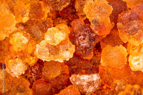 Golden yellow peach gum