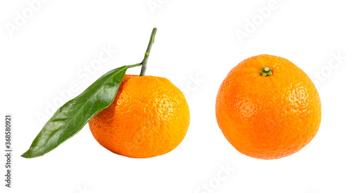 Mandarin with green branch isolated on white background. Juicy and fresh mandarine isolated over white with copy space and clipping path
