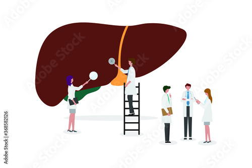 A team of doctors checkup the 
liver. People examine the organ and make a diagnosis. Design for web banner on white background. Healthy 
liver vector illustration concept. 