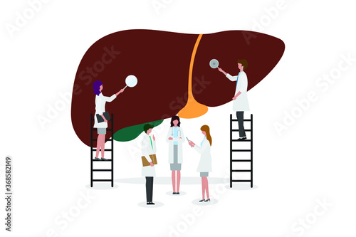 A team of doctors checkup the 
liver. People examine the organ and make a diagnosis. Design for web banner on white background. Healthy 
liver vector illustration concept. 