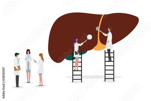 A team of doctors checkup the 
liver. People examine the organ and make a diagnosis. Design for web banner on white background. Healthy 
liver vector illustration concept. 