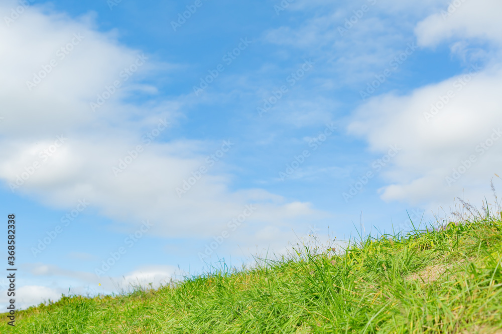 blue sky spreading above green grass of natural park in tokyo, japan blue sky spreading above green grass of natural park in tokyo, japan