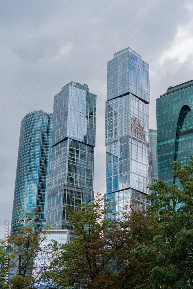 skyscrapers Moscow City in summer framed by tree branches