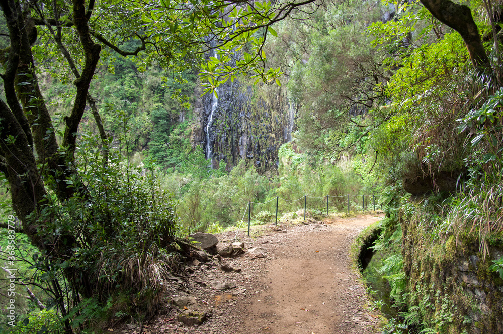 Levada do Risco, touristic hiking trail, Rabacal, Madeira island, Portugal Levada do Risco, touristic hiking trail, Rabacal, Madeira island, Portugal