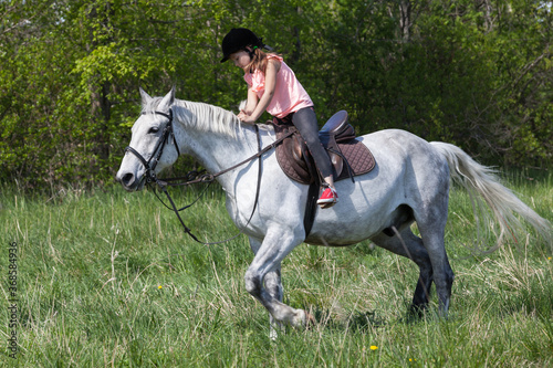 Little European girl rides a white horse