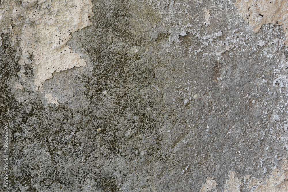 Cement rough wall Cement rough wall