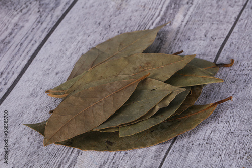 Dry laurel leaves