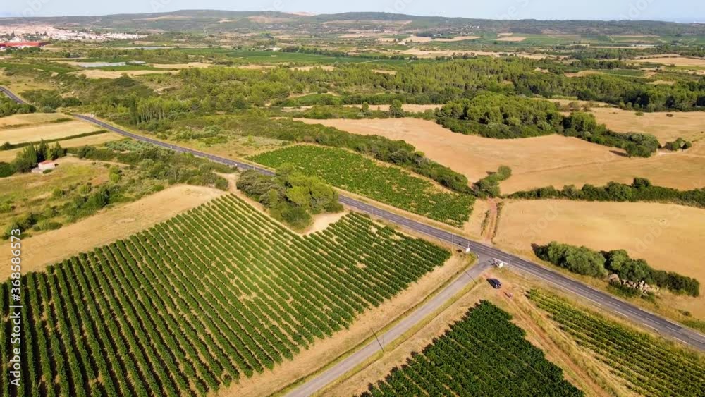Drone survolant une route qui traverse des vignes