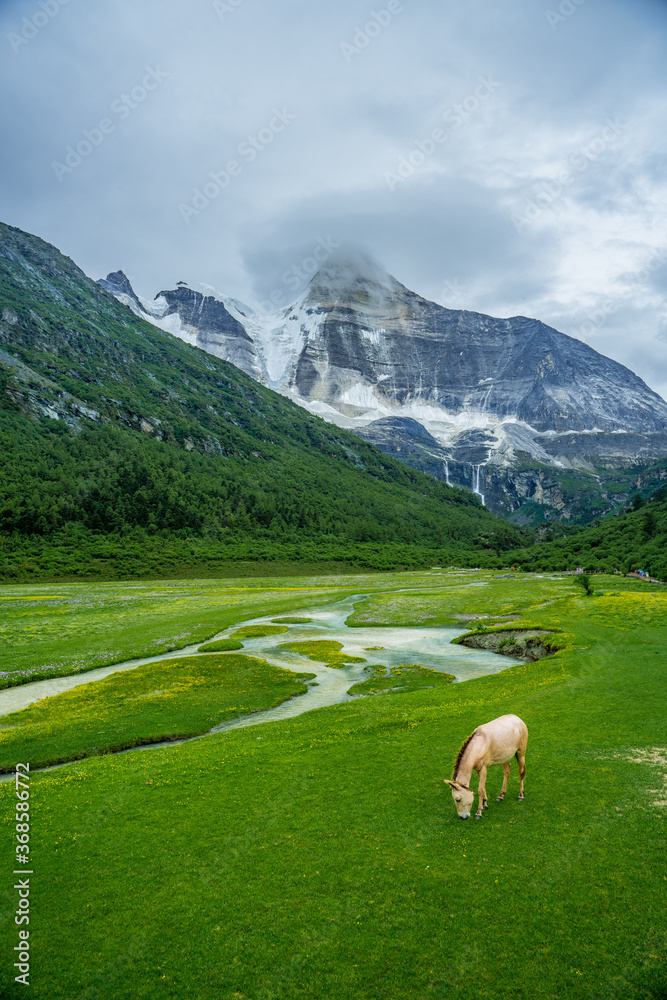 The snow mountain and meadows in Yading, on summer time, during a cloudy day, in Sichuan Province, China. The snow mountain and meadows in Yading, on summer time, during a cloudy day, in Sichuan Province, China.