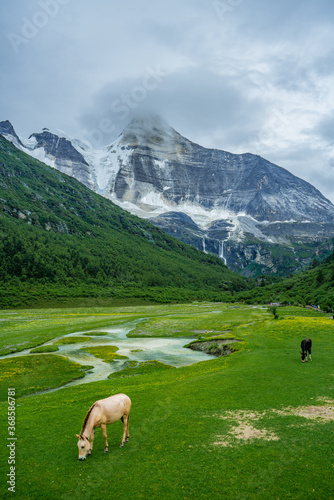 The snow mountain and meadows in Yading  on summer time  during a cloudy day  in Sichuan Province  China.