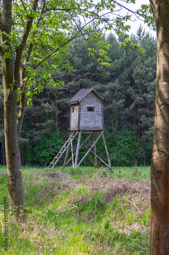 Wooden deer stand looks like elevated tiny house with ladder situated on small glade in the middle of forest in sunlight © Iva