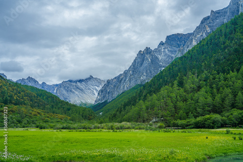 The snow mountain and meadows in Yading, on summer time, during a cloudy day, in Sichuan Province, China.