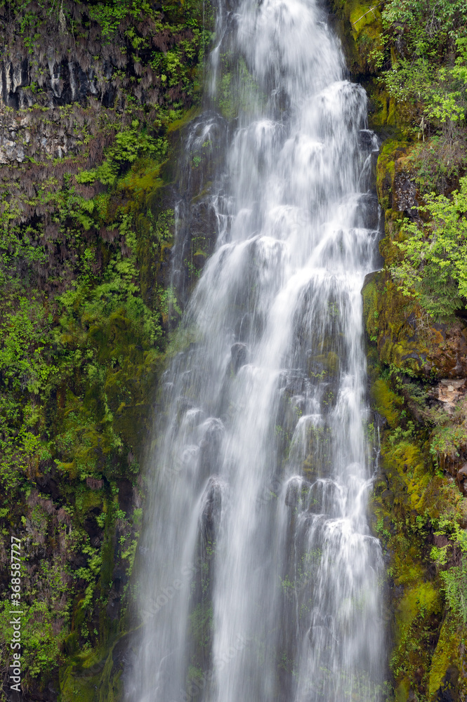 Barr Creek Falls in Prospect State Park, Oregon, USA