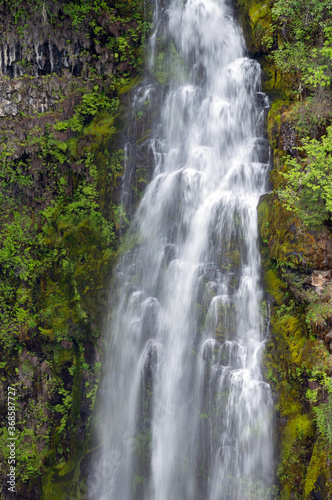 Barr Creek Falls in Prospect State Park  Oregon  USA