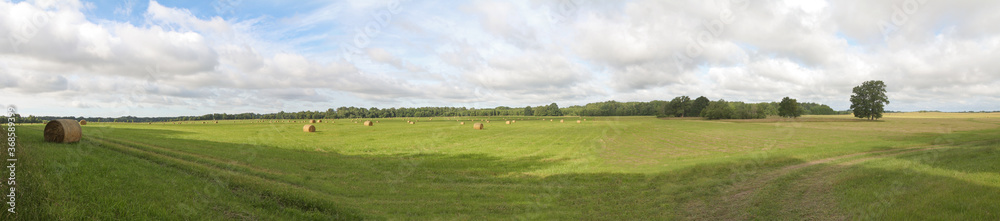 Banner for the site, countryside.