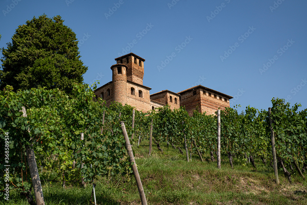 Le vigne del castello
