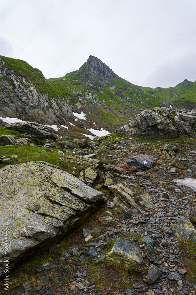 Summer in the mountains