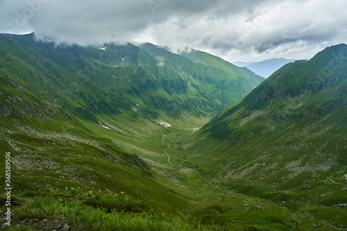 Summer in the mountains