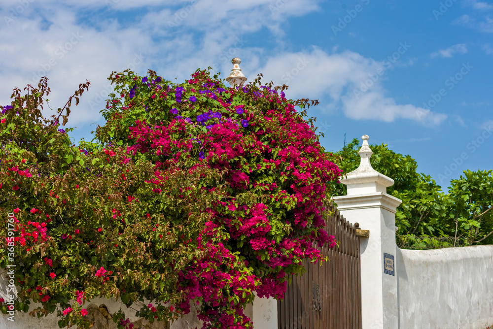 Fototapeta premium old traditional chimney from the Algarve in Tavira, Portugal