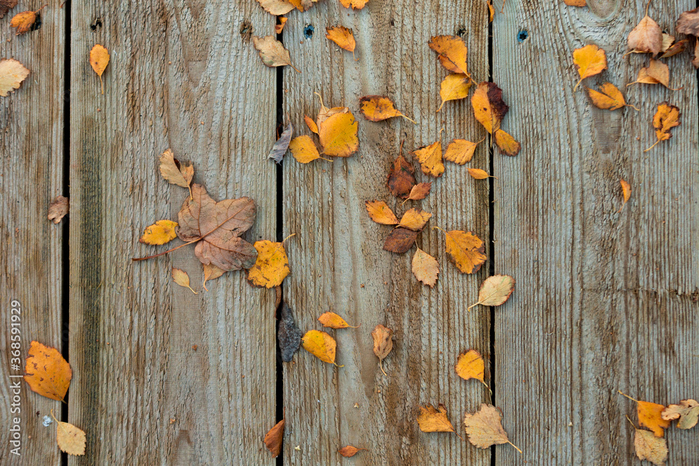Autumn foliage on wooden terrace floor Autumn foliage on wooden terrace floor
