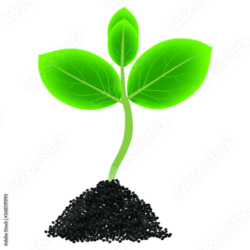 Green sprout growing out from soil isolated on white background.