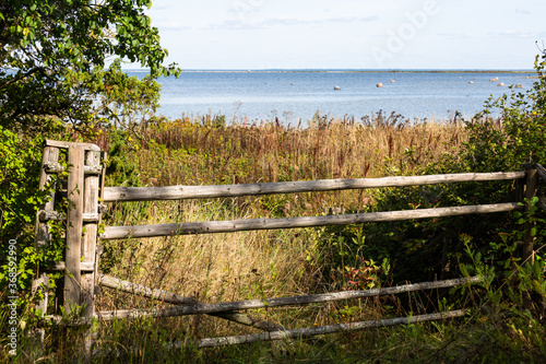 wooden fence