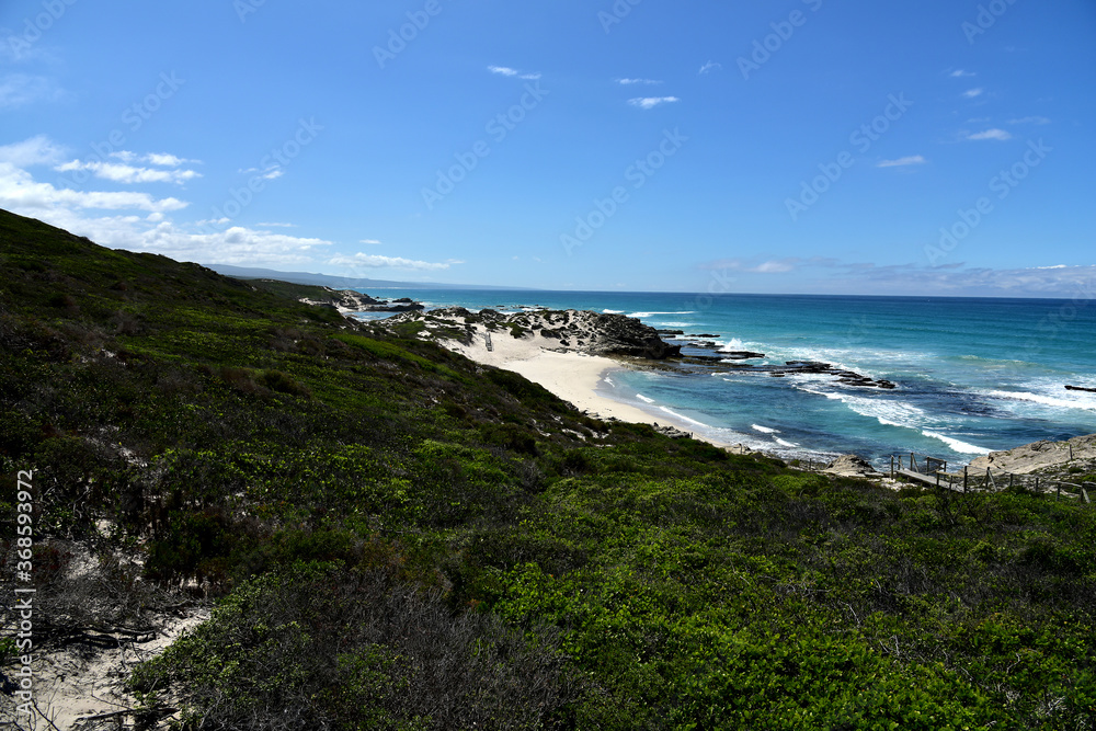 Perfect colors, blue sky, virgin white beaches, green-grown dunes. And a crystal clear sea. The coastline at De Hoop Nature Reserve, Western Cape, South Africa. Perfect colors, blue sky, virgin white beaches, green-grown dunes. And a crystal clear sea. The coastline at De Hoop Nature Reserve, Western Cape, South Africa.