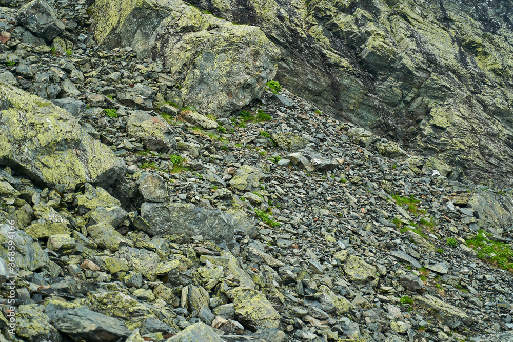 Obraz premium Scree on mountain