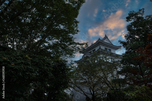 千葉県立　関宿城　夕方 photo