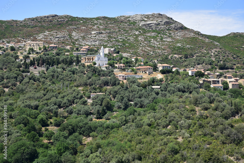 Village de San Pietro di Tenda dans le Nebbio, Corse