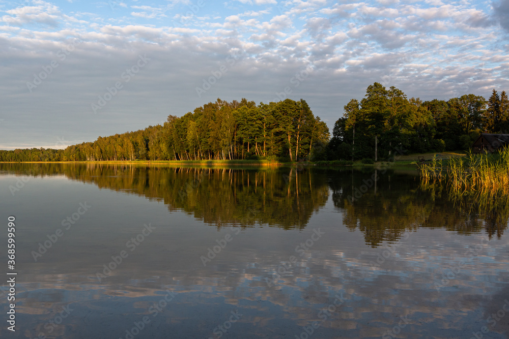 Fototapeta premium sunlit trees with shadows with reflections