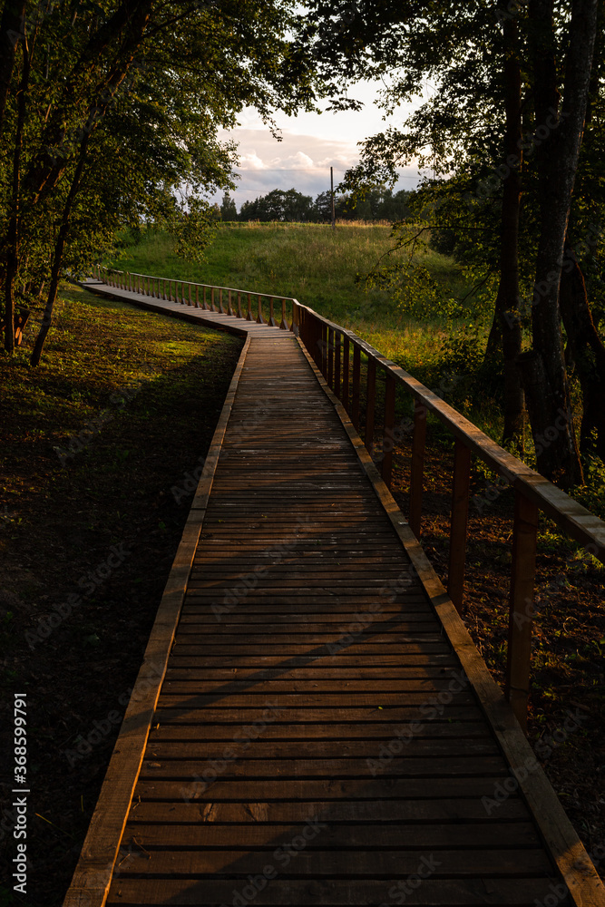 Wooden footbridge in the lake