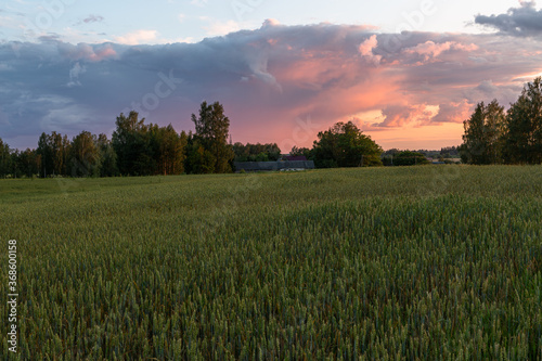 summer landscapes with clouds, forests and fields at sunset