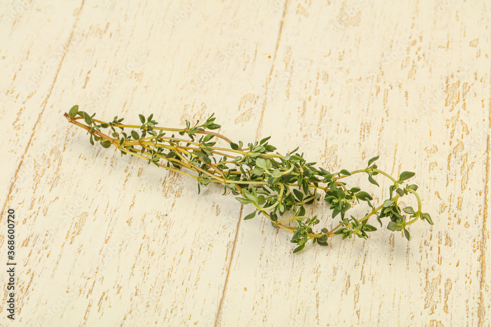 Aroma Fresh green thyme branch Aroma Fresh green thyme branch