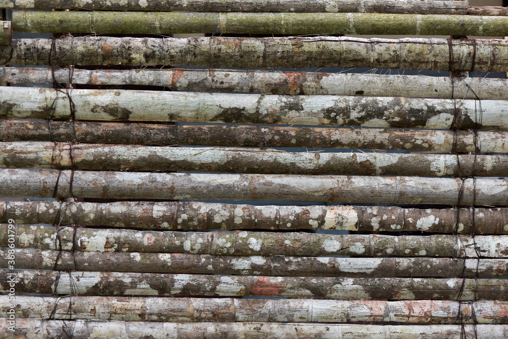 long old wooden logs folded horizontally close-up